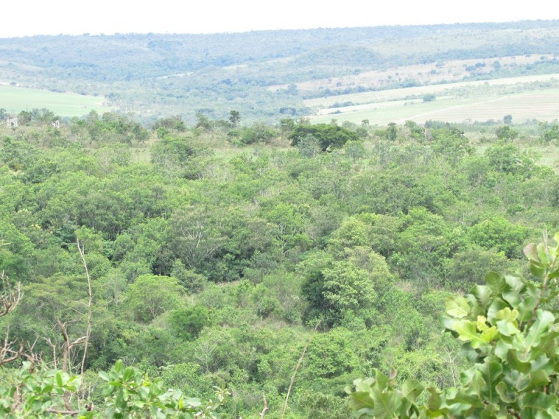 130 Science Advances 生物多様性喪失と気候変動悪化を食い止める グローバル セーフティーネット 国立研究開発法人 国際農林水産業研究センター Jircas