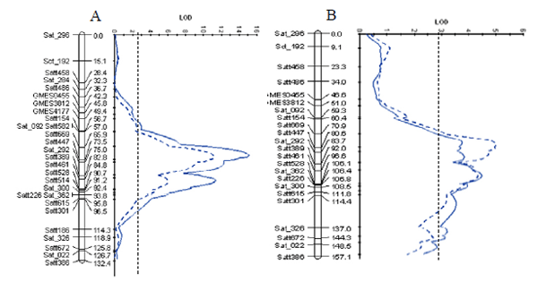 図3 栽培ダイズ品種「Jackson」と野生ダイズ系統「JWS156-1」の交雑に由来するF6組換近交系統集団（A）とF2集団（B）において検出された第17染色体上のアルカリ塩耐性に関与するQTL 青実線は耐塩指数のLOD値、青点線はSPAD値のLOD値