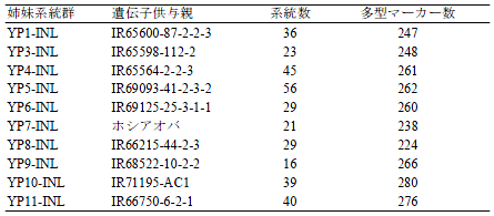 表1 IR64の染色体断片導入系統群の遺伝子供与親、育成系統数および 供試したDNAマーカーのうち両親間で多型を検出した数