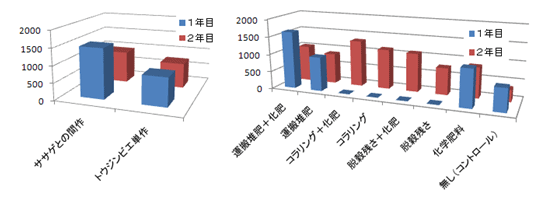 図1 作付体系（左）および施肥技術（右）がトウジンビエの種子収量（kg/ha）に 及ぼす効果（Baby圃場での実証）