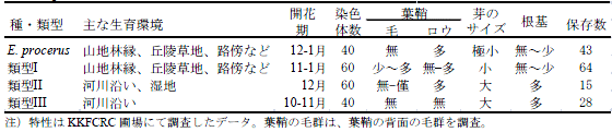 表1 E. procerus およびE. arundinaceus の3 類型（類型I、II、III）の特性