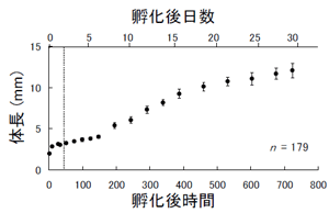 図2 Hypsibarbus malcolmi仔稚魚の成長（図中破線：卵黄完全消失期、図中縦線：標準偏差）