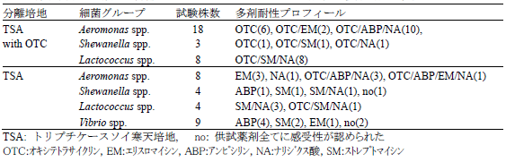 表2 集約養殖エビ類から分離したオキシテトラサイクリン耐性菌の多剤耐性の状況