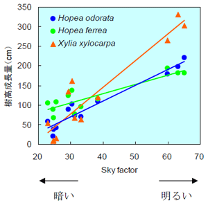 図4 光環境と樹高成長量の関係