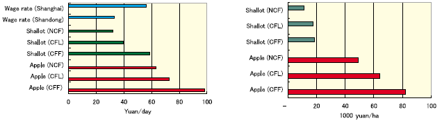 Fig. 1. Comparison of labor and land productivity by type of farm.