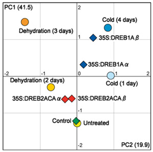 Fig.1.