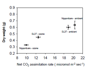 Fig. 3．