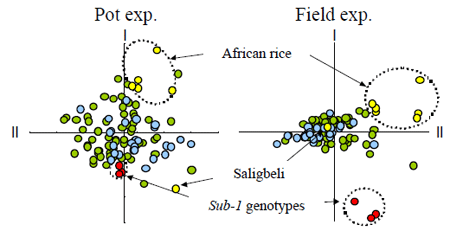 Fig. 4 Evaluation of flash flood tolerance by the principal component analysis.