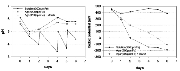 Fig. 1. Changes in pH and Eh over time.