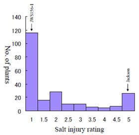 Fig. 2．