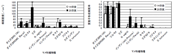 図１ 各種マメ科植物のダイズさび病菌に対する感受性