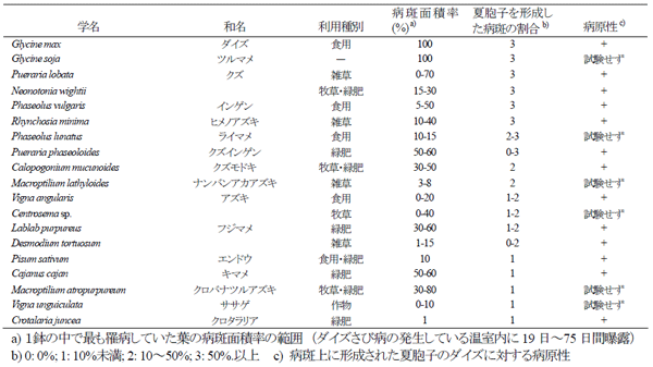 表１ マメ科植物におけるダイズさび病菌の病斑形成、夏胞子堆形成および夏胞子形成
