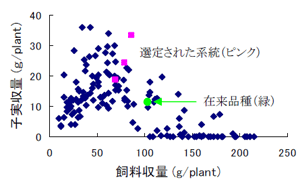 図1 ササゲ遺伝資源の飼料収量と子実収量 との関係