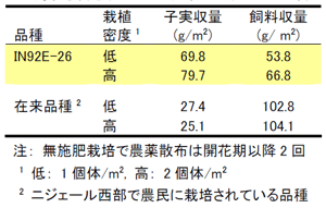 表3 選定したササゲ品種の栽植密度に対する反応