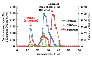 Fig 1.