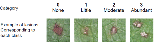 Fig. 1. Standard for sporulation level of lesions of soybean rust.