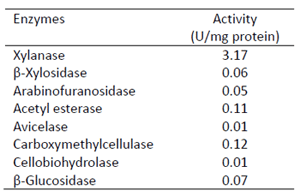 Table 1.　Enzymatic activities of multienzyme complex protein with 1,450kDa from gel filtration