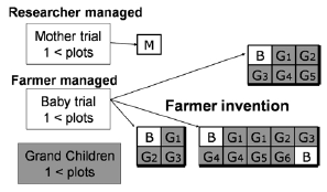 Fig. 2. An example of mother-baby trial layout for Invention model technology development.