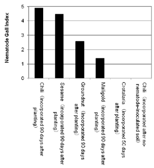 Fig. 3. Effects of various crops grown prior to chili in suppressing the southern root knot nematode damage