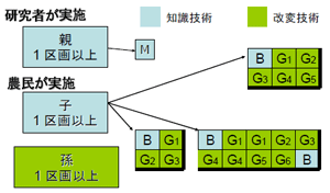 図2 親子孫法による試験区配置例