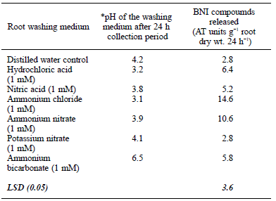 Table 1. Influence of root washing medium on the release of BNIcompounds from roots.