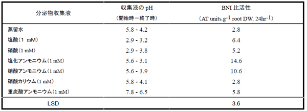 表１ 根分泌物収集液中のｐH並びに窒素形態が硝酸化製抑制活性に及ぼす影響