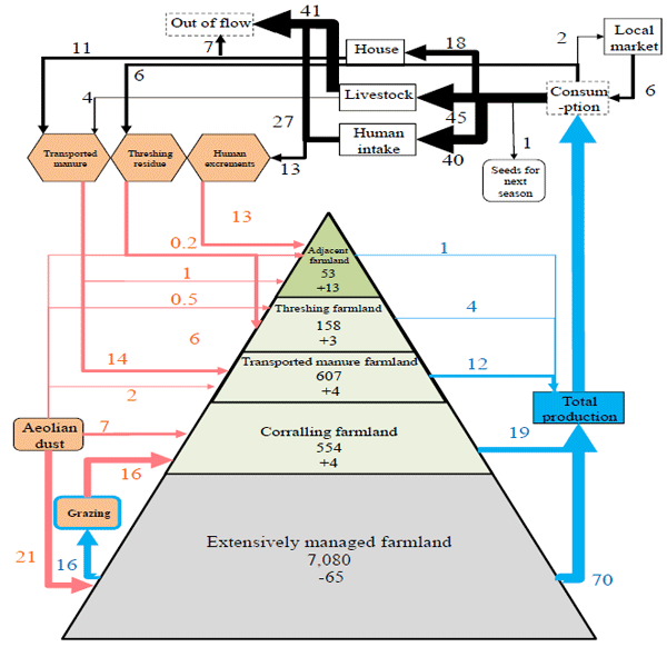 Fig. 1. Nitrogen flow within the framework of farmland and village in the Fakara region of Niger