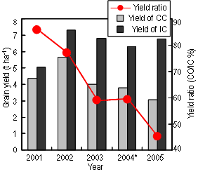Fig. 1. Yield decline phenomenon observed at continuous aerobic rice (AR) cultivation plots (CC), IRRI.