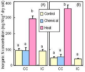 Fig. 2. Inorganic N concentration (ammonium N and nitrate N) in pot soils 17 (A) and 47 (B) days after transplanting.