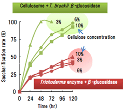 Fig.2.