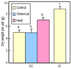 Fig. 3. Aboveground biomass observed 47 days after transplanting