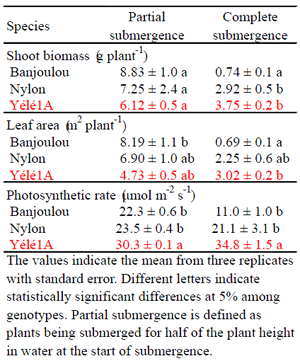 Table 2. Effect of submergence on shoot biomass, leaf area and photosynthesis 37 days after submergence