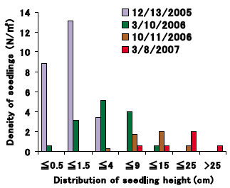 Fig. 1. Change in distribution of seedling heights of stylo.
