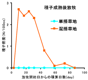 図1 種子成熟後に放牧した草地における 牛糞中のスタイロ種子の密度変化