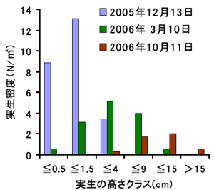 図２ 種子成熟後に放牧した混播草地におけるスタイロの実生高階級分布の変化