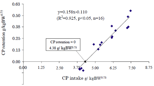 Fig. 1. Relationship between CP retention and CP intake in Thai native cattle.