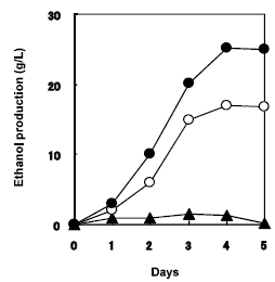 Fig. 2. Fermentation profile of cassava pulp using sake yeast strain K7G displaying glucoamylase