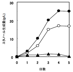 図３. グルコアミラーゼ表層提示実用酵母（K7G）を用いたキャッサバパルプからのエタノール発酵経過