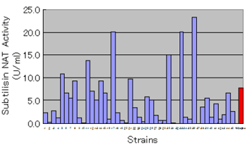 Fig 2. Subtilisin NAT activity of the strains isolated from Thua Nao