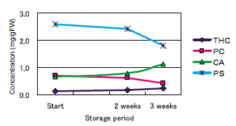Fig. 2. Polyphenol concentrations in fingerroot during storage