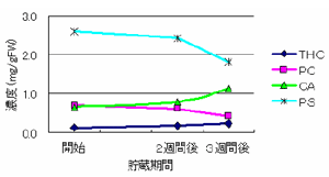 図２ オオバンガジュツ貯蔵中のポリフェノールの変化