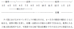 図３ タイ国におけるオオバンガジュツの栽培