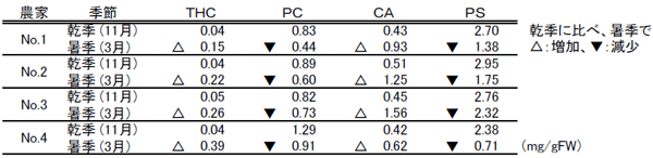 表２ 同一農家圃場におけるオオバンガジュツの主要ポリフェノール含有量の季節変化