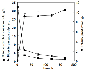 Fig.2 The ethanol production from 5% cassava pulp as the sole carbon source by arming yeast.