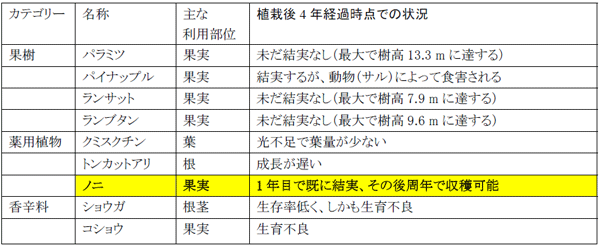 表１ アカシア林に植えられた換金作物の植栽初期における収穫利用の可能性