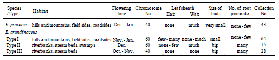 Table 1. Characteristics of E. procerus and three types of E. arundinaceus