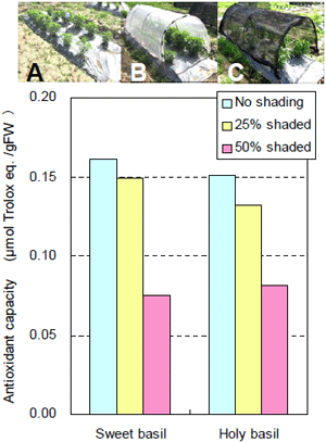 Fig. 3. Shading experiment.