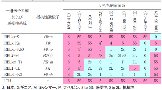 表 1. 海外産を含むイネいもち病菌に対するPik座の一遺伝子系統の感染型