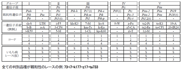 図１. イネいもち病国際判別体系における系統の配置と命名法