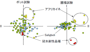 図4主成分分析による短期冠水耐性評価 シンボルは図1に同じ